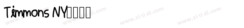 Timmons NY字体转换